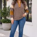 Brown Stripe Isabella Colorblock Detail Collar Long Sleeve PLUS Top