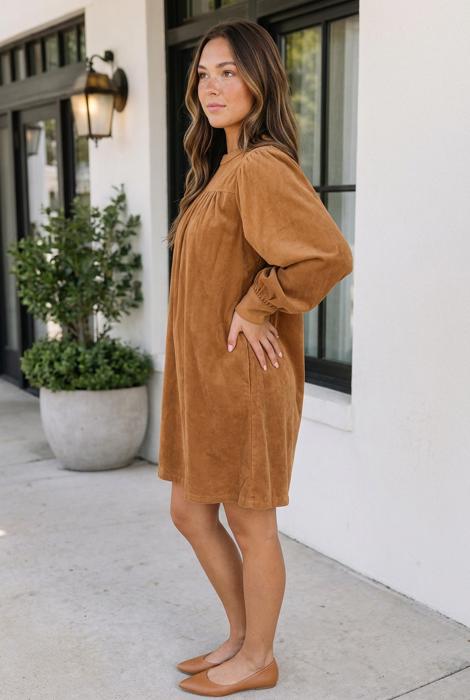 Ivannna Sleeve Shift Short Dress