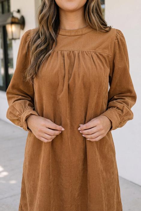 Ivannna Sleeve Shift Short Dress