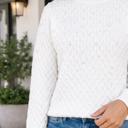  Katarina Pearl Embellished Pullover Sweater