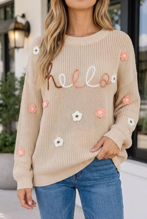 Katlyn Embroidered Knit Loose Sweater
