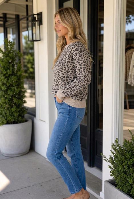Kristinia Block Trim Pullover Sweater