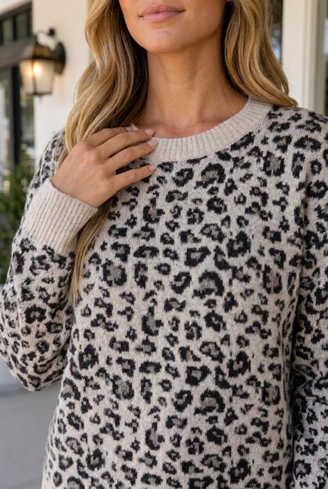 Kristinia Block Trim Pullover Sweater