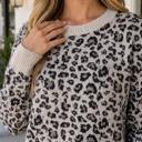  Kristinia Block Trim Pullover Sweater