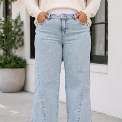 Laurel Paneling Loose Fit PLUS Jeans
