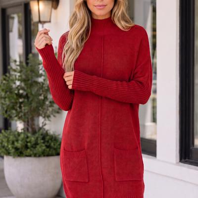 Lilyania Seam Shift Sweater Dress