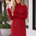  Lilyania Seam Shift Sweater Dress