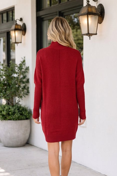 Lilyania Seam Shift Sweater Dress