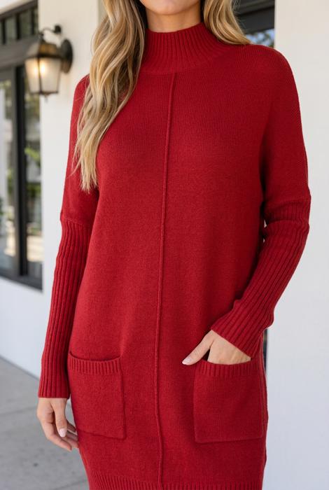 Lilyania Seam Shift Sweater Dress