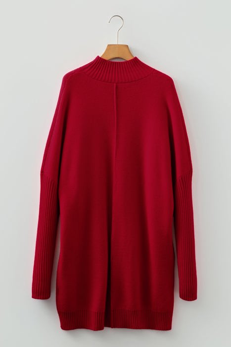 Lilyania Seam Shift Sweater Dress