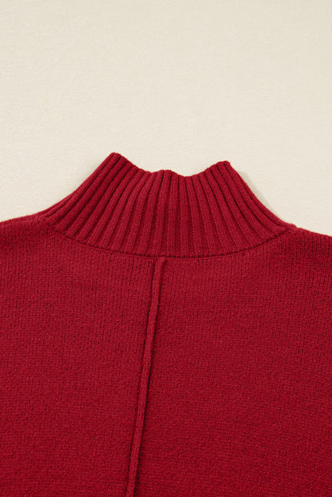 Lilyania Seam Shift Sweater Dress
