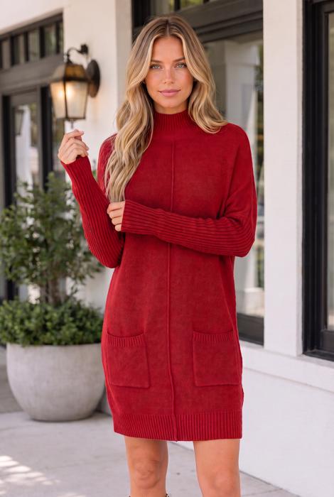 Lilyania Seam Shift Sweater Dress