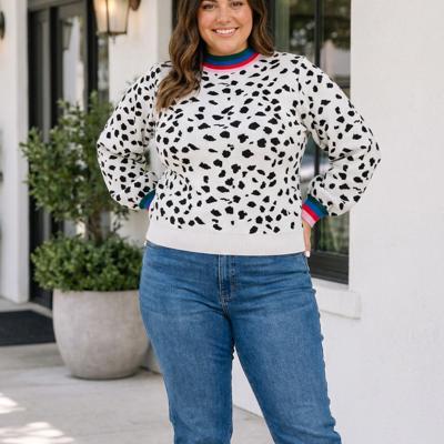Marcos Sleeve Tunic Sweater Long Sleeve PLUS Top