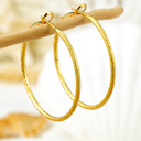  Melissa Plated Retro Hoop Earrings