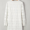  Paloma Shift Mini Dress