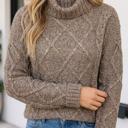  Paula Knit Regular Length Sweater