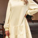  Ramona Sleeve Loose Mini Dress