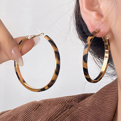 Sajira Stainless alloy Hoop Earrings