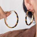  Sajira Stainless alloy Hoop Earrings