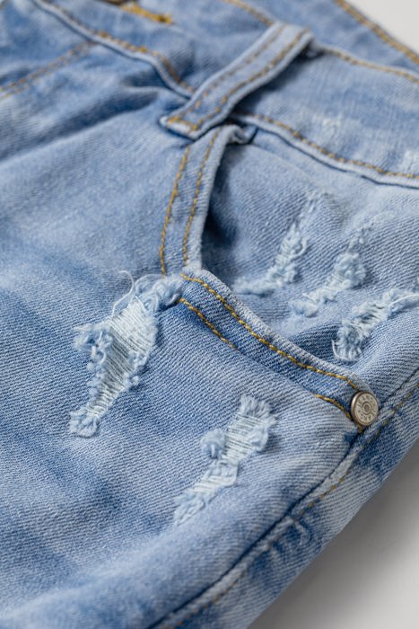 Saoirse Distressed Whiskery Shorts
