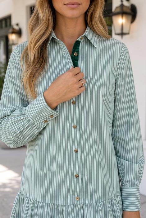Savannah Shift Long Sleeve Dress