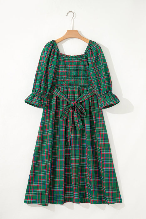 Scarlett Waist Flared Midi Dress