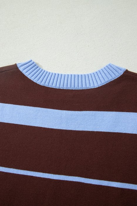 Sky Blue Stripe Striped Short Sleeve Round Neck Casual Knit Top