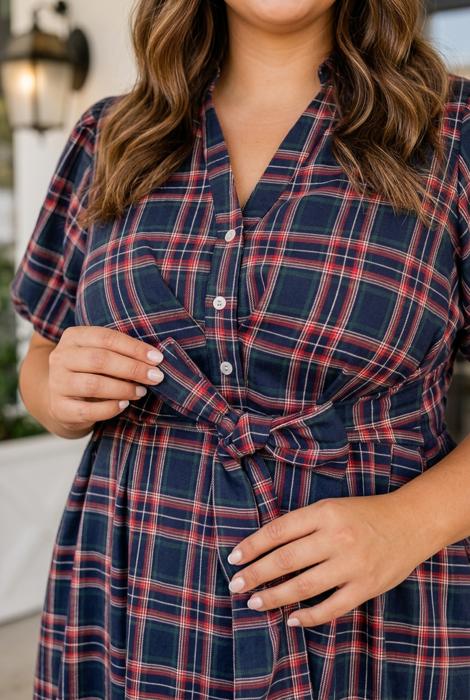 Stella Waist Short Sleeve PLUS Dress