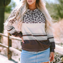  Teagan Color Block Crewneck Long Sleeve Top