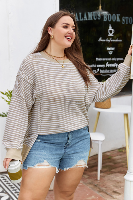 Vanessa Knit Ribbed Trim Long Sleeve PLUS Top
