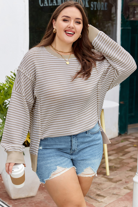Vanessa Knit Ribbed Trim Long Sleeve PLUS Top