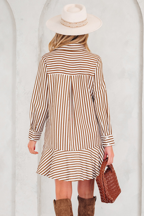 Yamileth Shirt Mini Dress Long Sleeve Top