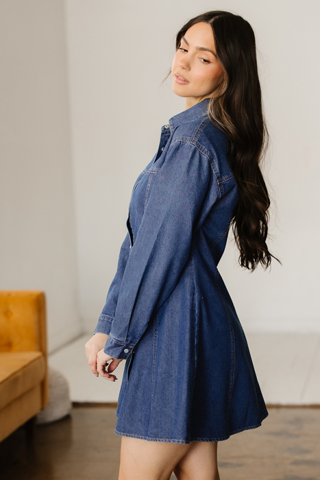 Zoe Flared Mini Dress