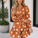Brown Large Zora Casual Shift Mini Dress