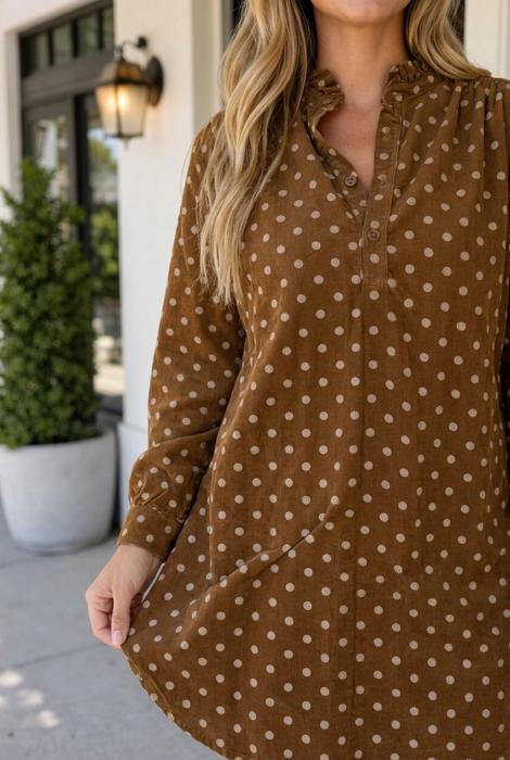 Zuri Long Sleeve Shift Dress
