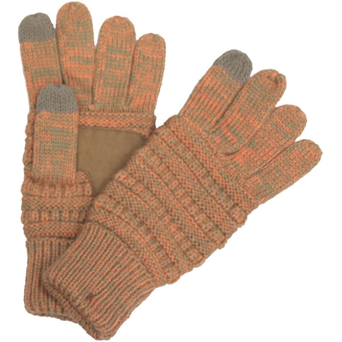 CC Brand Two-Toned Touchscreen Tech Phone Gloves Winter Accessories