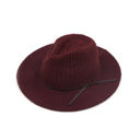 Berry CC Fedora Knitted Hat