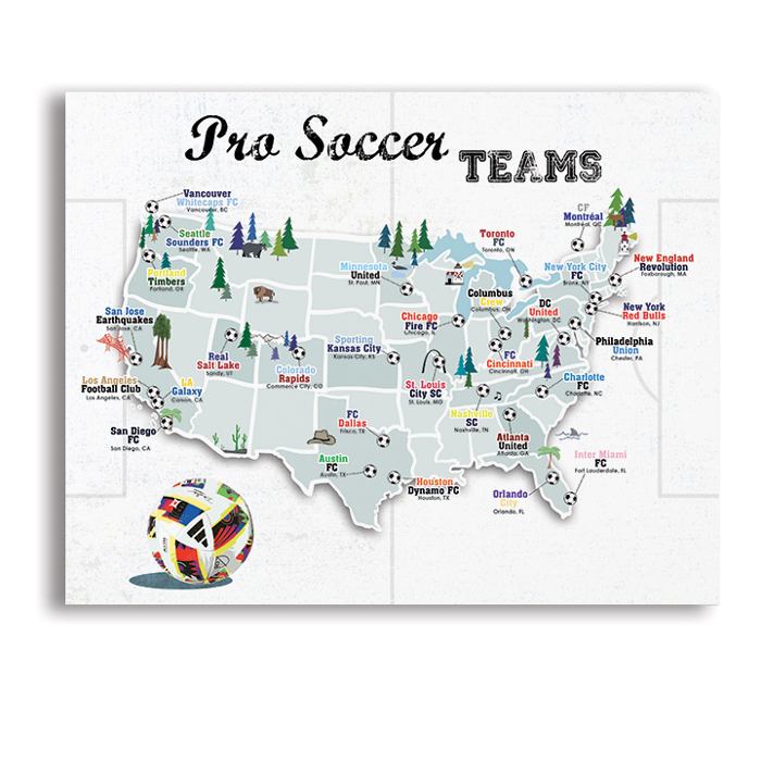 Pro Sports Stadium Maps with Travel Pins | 8x10, 11x14 OR 16x20 Canvas