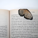  Magnetic Butterfly & Moth Bookmarks (Set of 3)