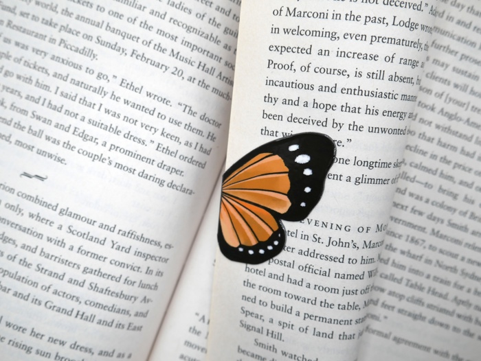 Magnetic Butterfly & Moth Bookmarks (Set of 3)