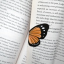  Magnetic Butterfly & Moth Bookmarks (Set of 3)
