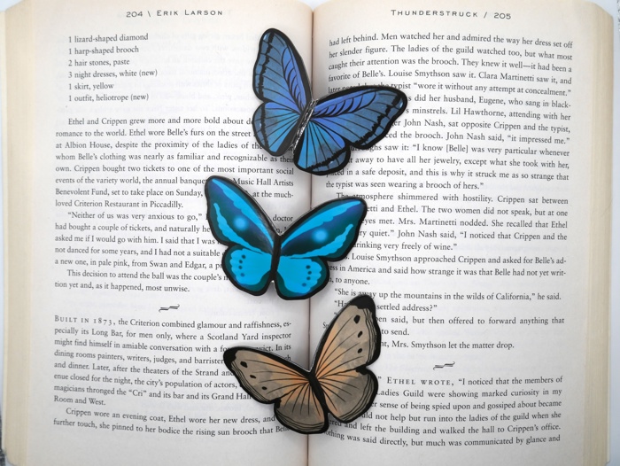 Magnetic Butterfly & Moth Bookmarks (Set of 3)