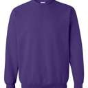 Small Purple Dibs On The Coach Sweatshirt 