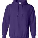 Small Purple Eagles Mascot Hoodie, 