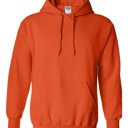 Small Orange Eagles Mascot Hoodie, 