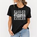  Retro Eagles  Mascot Graphic Tees, Game Day Tees, Team Shirt