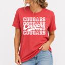  Cougars
