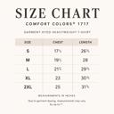  Cozy Season Comfort Colors, Fall Graphic Tee, Pumpkin Coffee Sweater Autumn Shirt, Cozy Fall Shirt Women