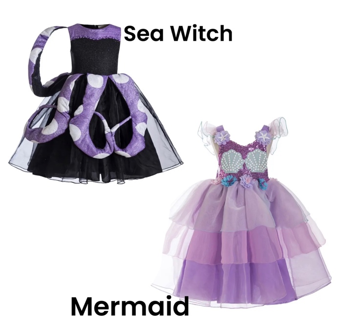 Princess Costume | Halloween Costume| Character Dress | Princess Dress | Dress Up | Costume