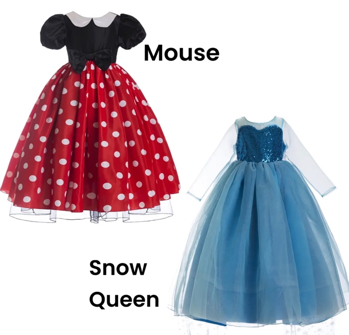 Princess Costume | Halloween Costume| Character Dress | Princess Dress | Dress Up | Costume